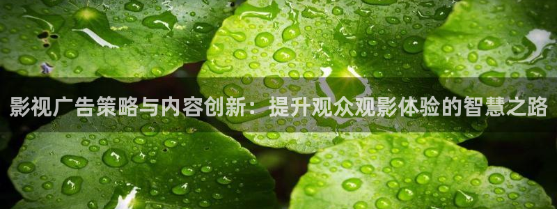 红叶电影今日影讯