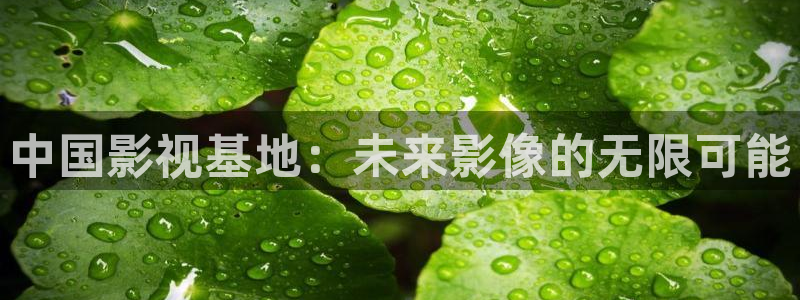 红叶电影院今日影讯