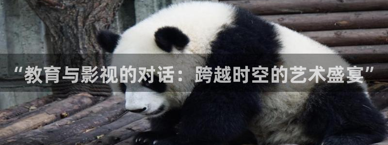 红叶电影院今日影讯：“教育与影视的对话：跨越时空的艺术盛宴”
