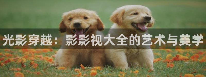 红叶影视完整版：光影穿越：影影视大全的艺术与美学