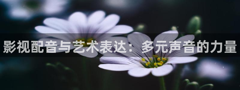红叶影院