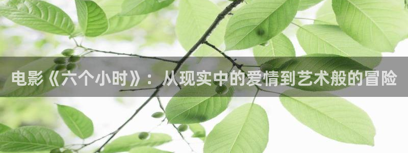 红叶影院下载