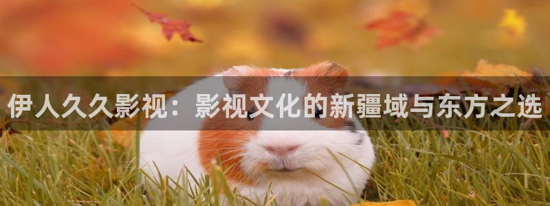 红叶影院